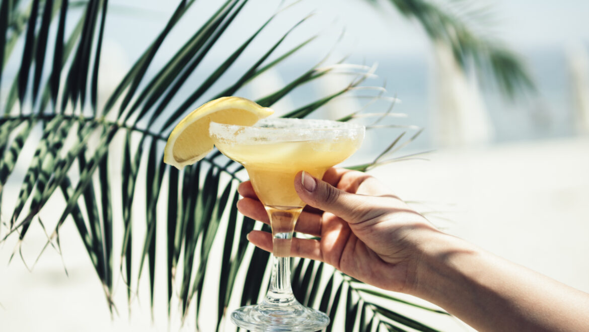 Xantippe il cocktail bisbetico